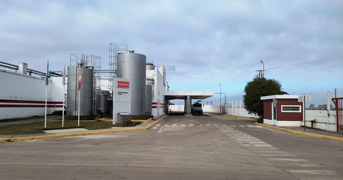 Verónica busca ingresar 15,5 millones de dólares con la venta de dos plantas en Santa Fe