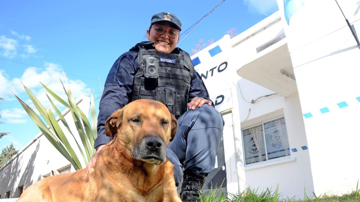 Puchero, el perro que se ganó la bici y la comisaría: la historia de un patrullero de cuatro patas en Neuquén