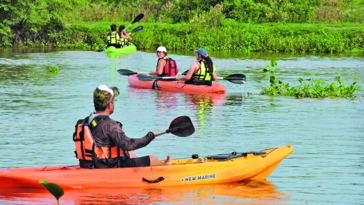Remar entre flamencos y carpinchos: la otra cara de la laguna Setúbal