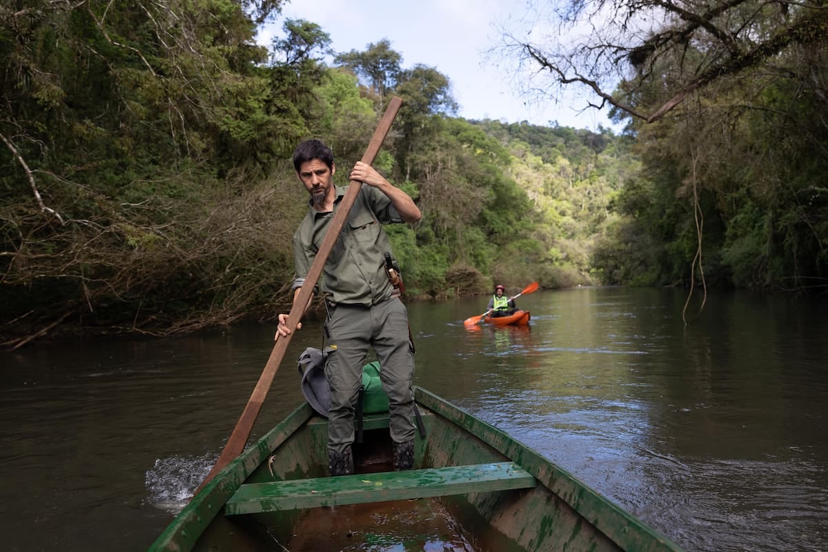 Una reserva con cabañas, kayak y senderos en el corazón de la selva paranaense