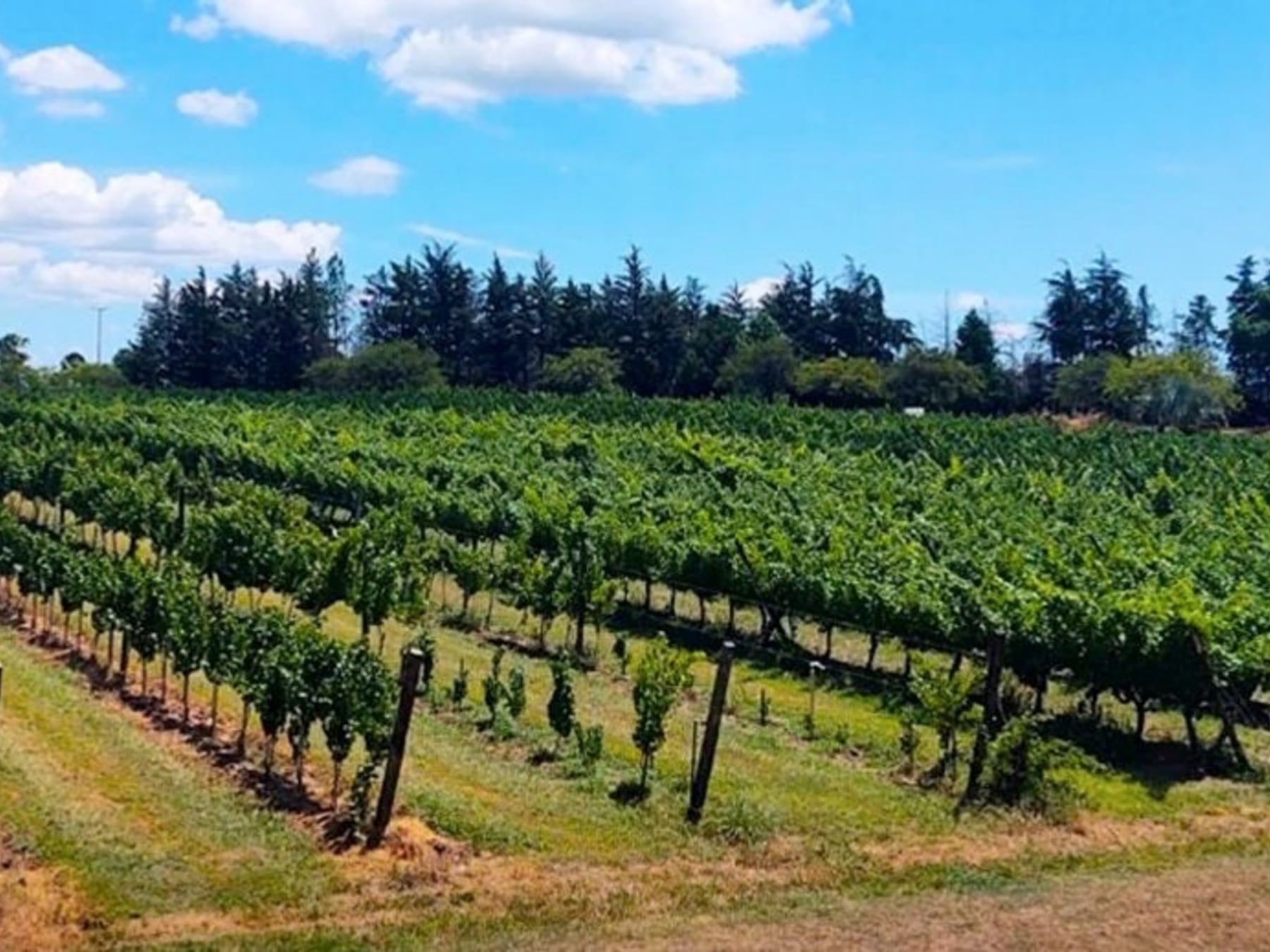San José se planta en el mapa del turismo entrerriano con una oferta que cruza termas, vinos y patrimonio