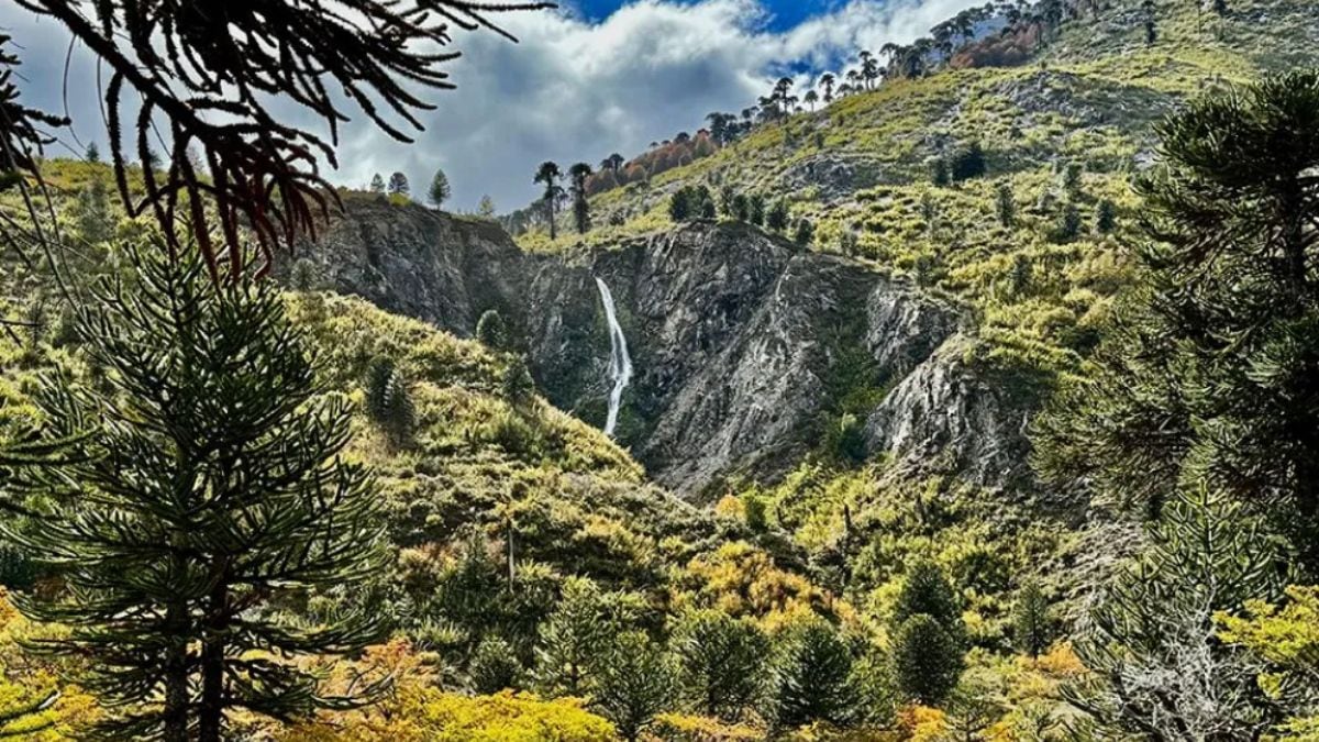 Una seña por un lote de Pulmarí puede terminar en una estafa: la advertencia que une a la Corporación y al Gobierno neuquino