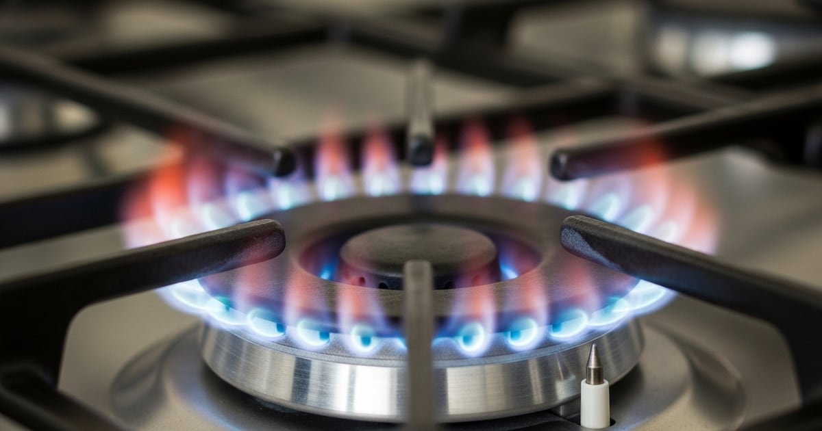 Subsidios y servicios: cuánto del costo pagan los hogares del AMBA según el IIEP