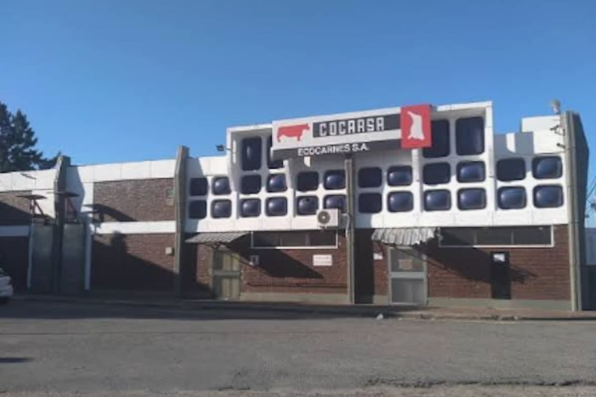 Crisis en Ecocarnes: trabajadores sin cobertura médica y con salarios bajo amenaza en San Fernando