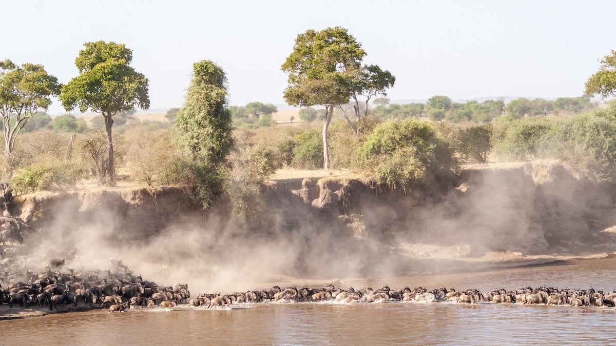 Tanzania en tres actos: la sabana, el cráter y las comunidades que aún viven como hace siglos