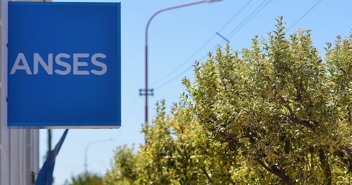 Calendario de ANSES de octubre: cuándo y cuánto cobrarán los titulares con DNI terminado en 2