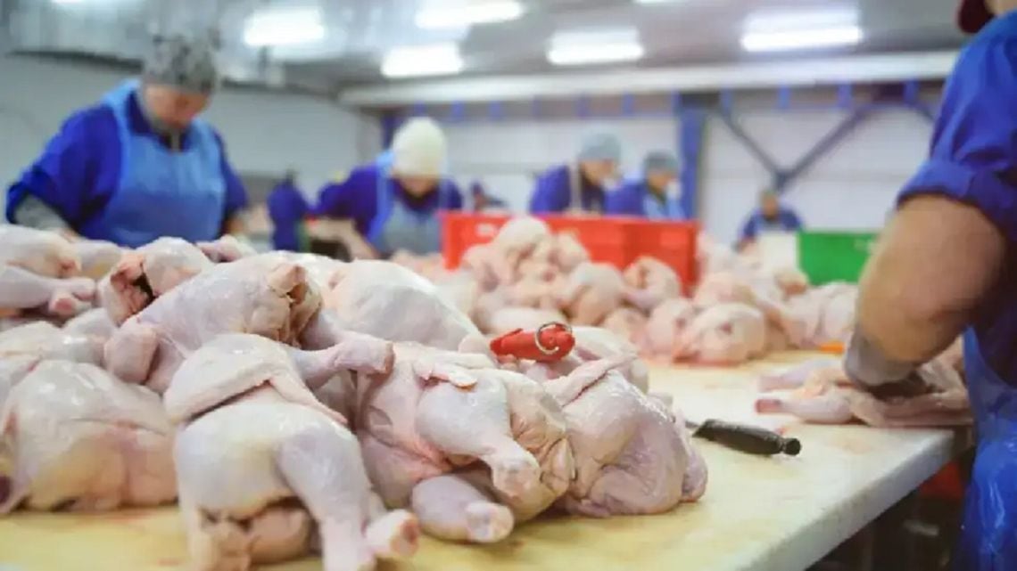 El pollo desplazó a la carne vacuna del plato principal: 47 kilos por habitante contra 46,7 de bovina