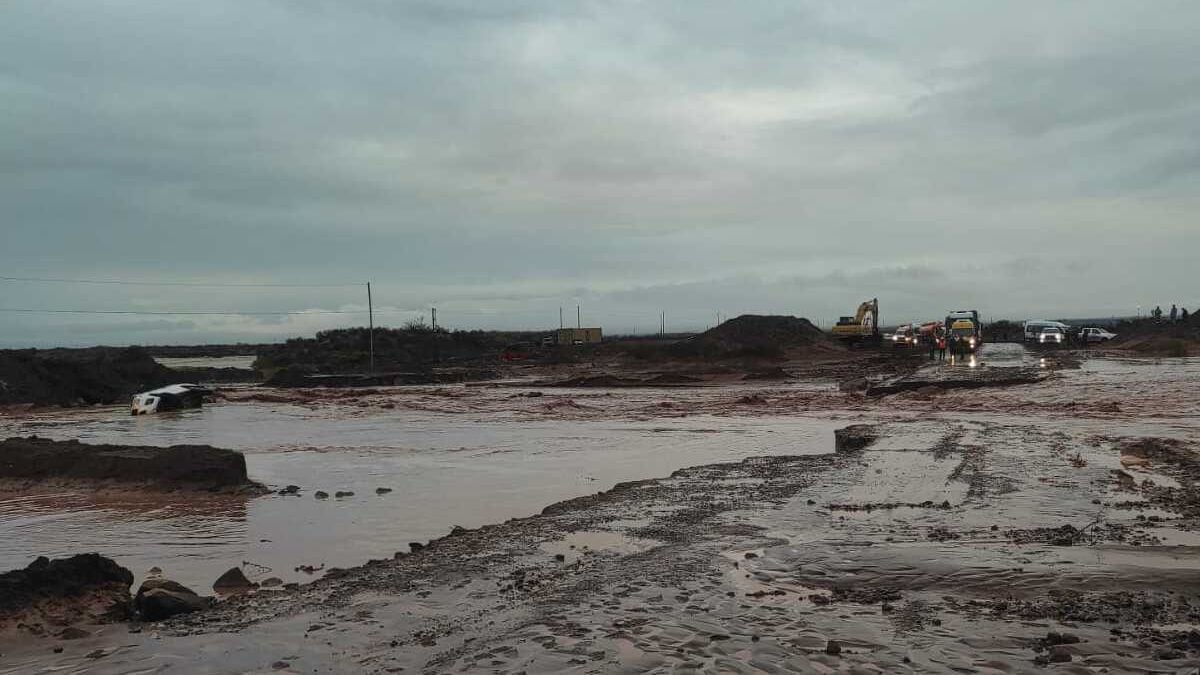 Rincón de los Sauces, bajo agua: medio centenar de familias asistidas y rutas bloqueadas