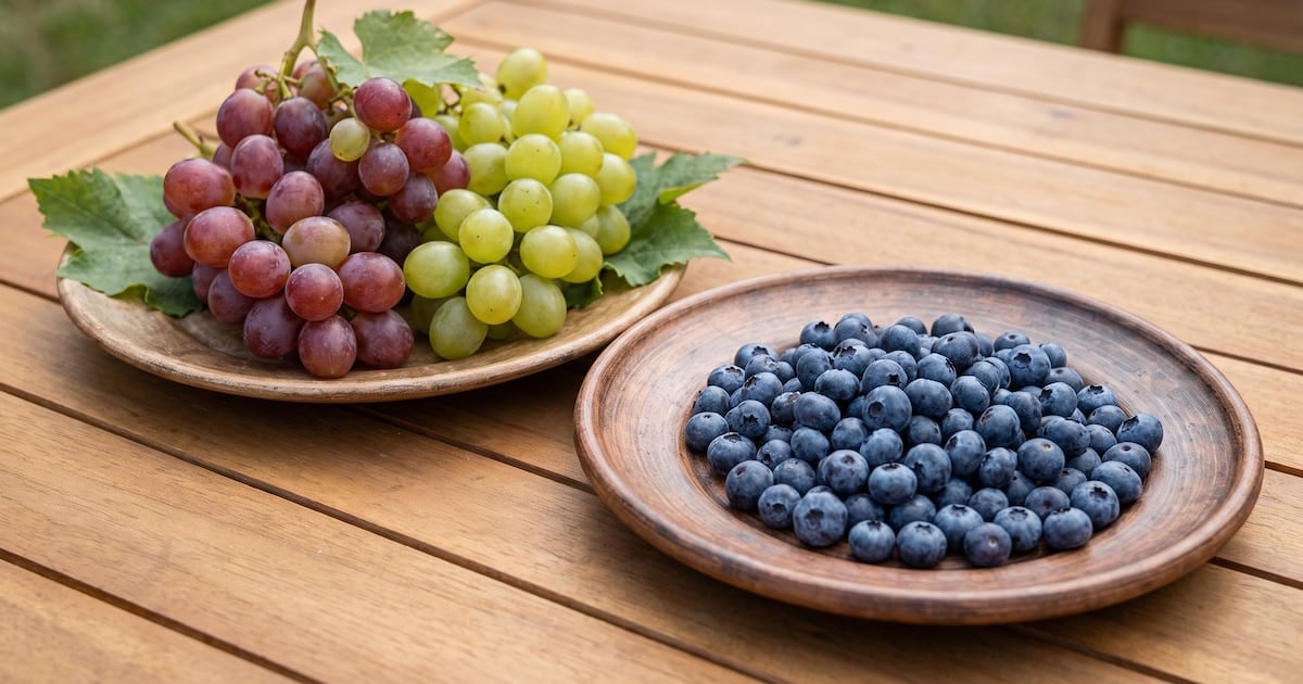 Arándanos o uvas: dos frutas, dos tiempos para la glucosa