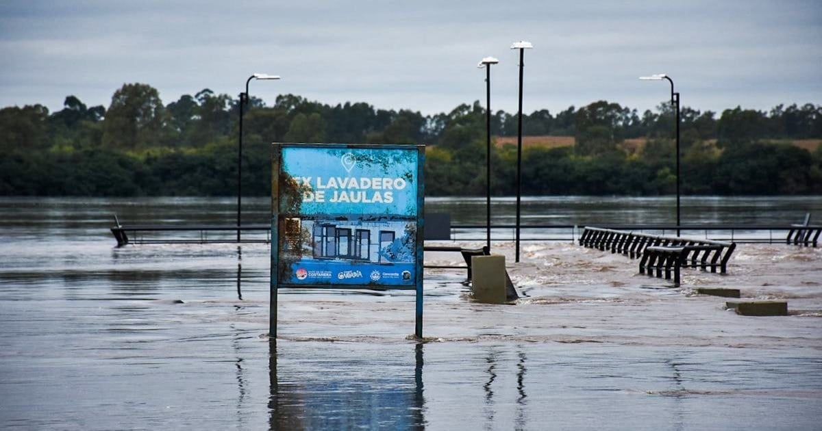 El Niño empuja la carne hacia arriba y la energía hacia abajo: el doble efecto que llega a fin de año