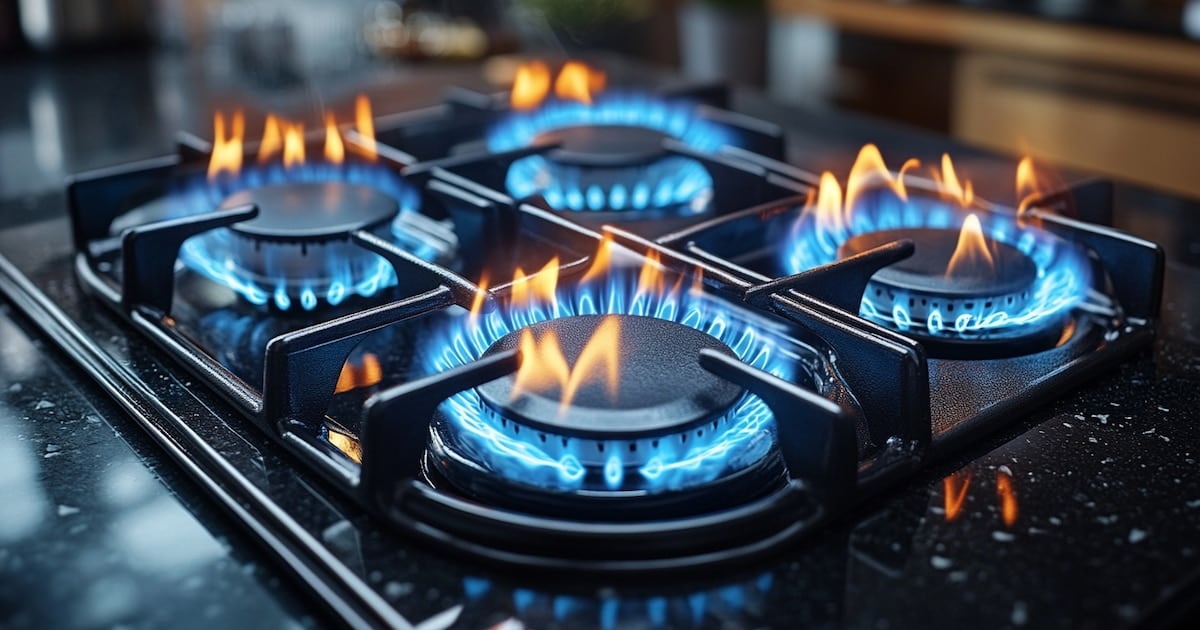 El ajuste de las zonas frías leave afuera a más de 3,35 millones de hogares del subsidy al gas